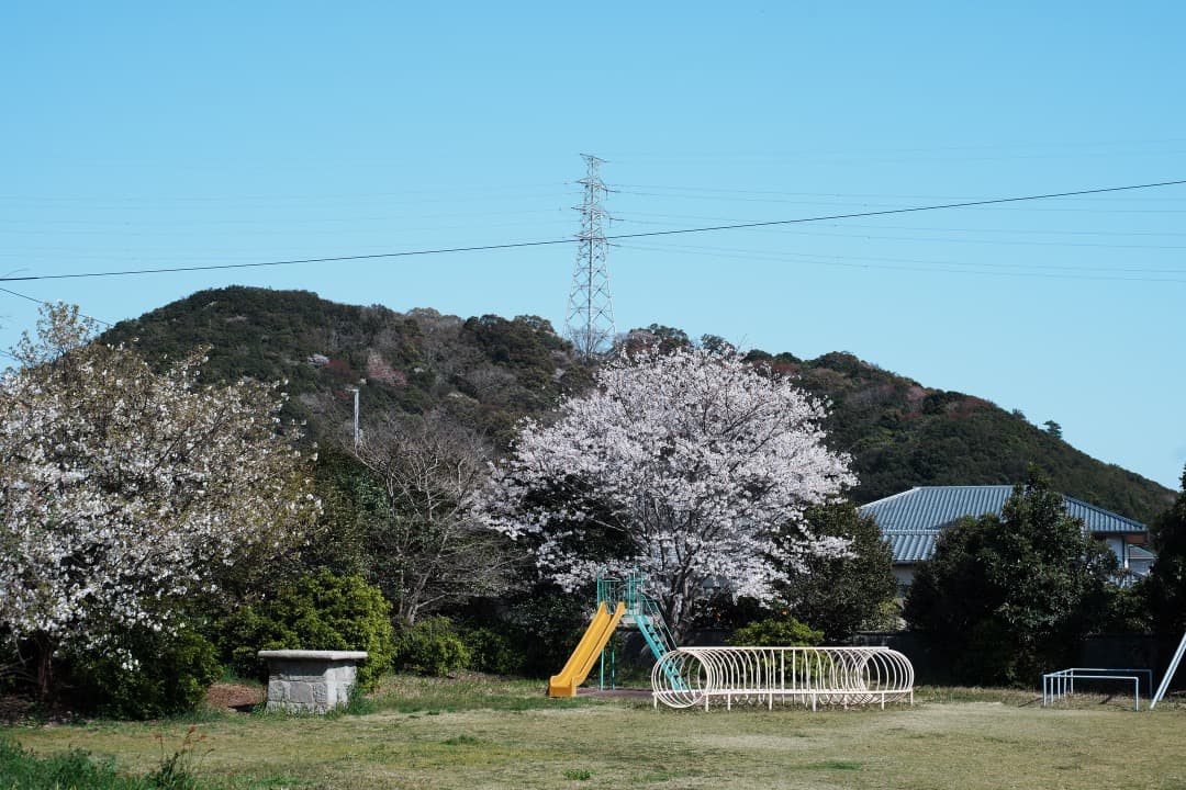 【極美品】Carl Zeiss Planar 50mm F1.4 MMJ 977