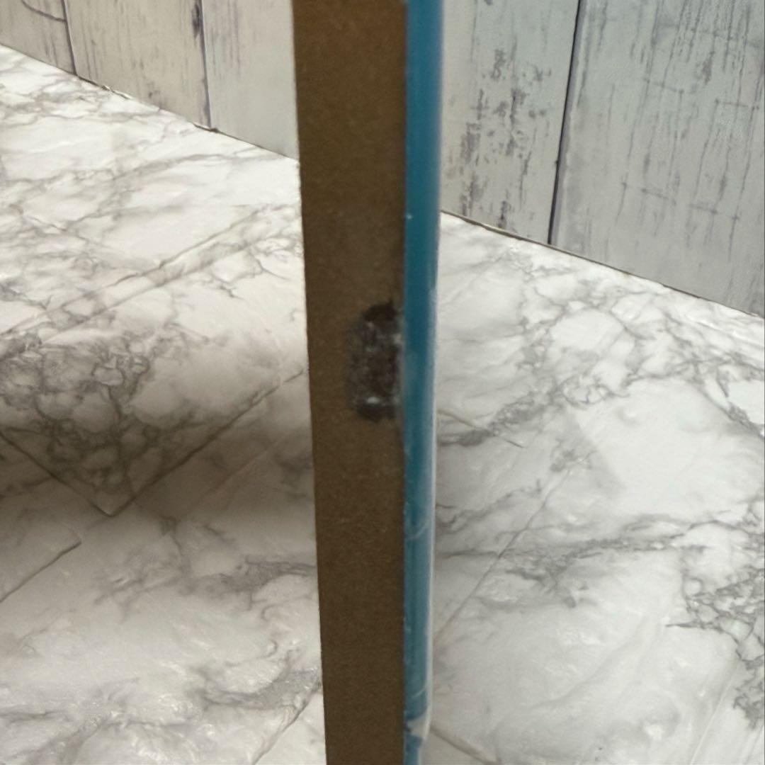 ぴよこさま専用　オーシャンアート