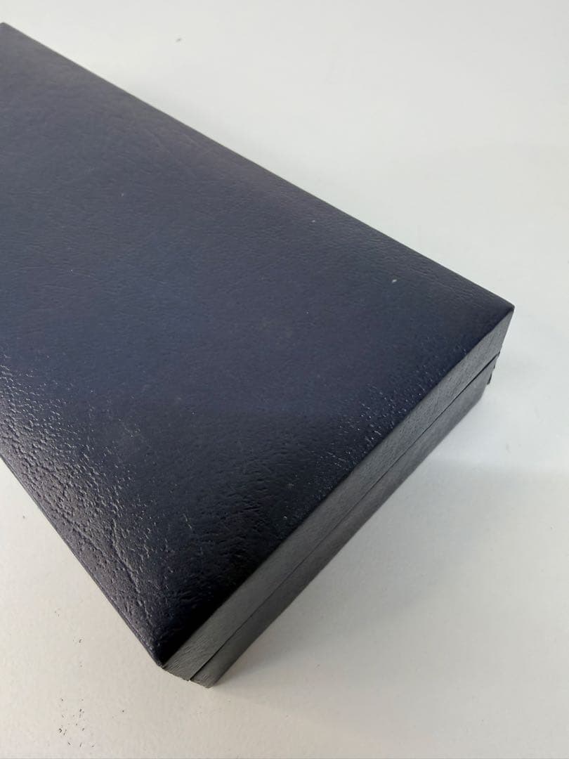 PLATINUM 14K万年筆 黒 ☆