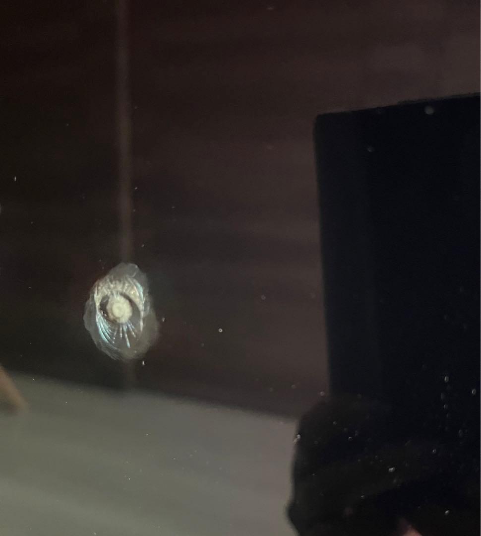 引き取り限定 SHARP 有機EL  テレビ 65インチ 画面割れ　ジャンク