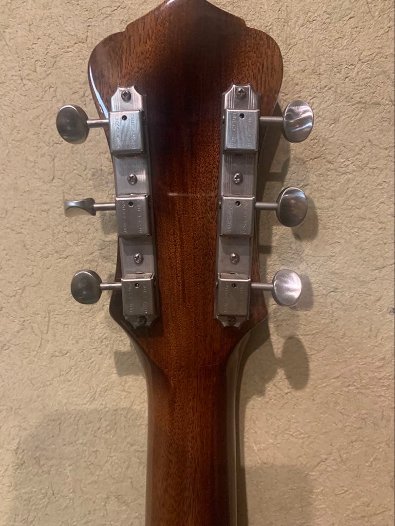 ギター Recording King RNJ-16