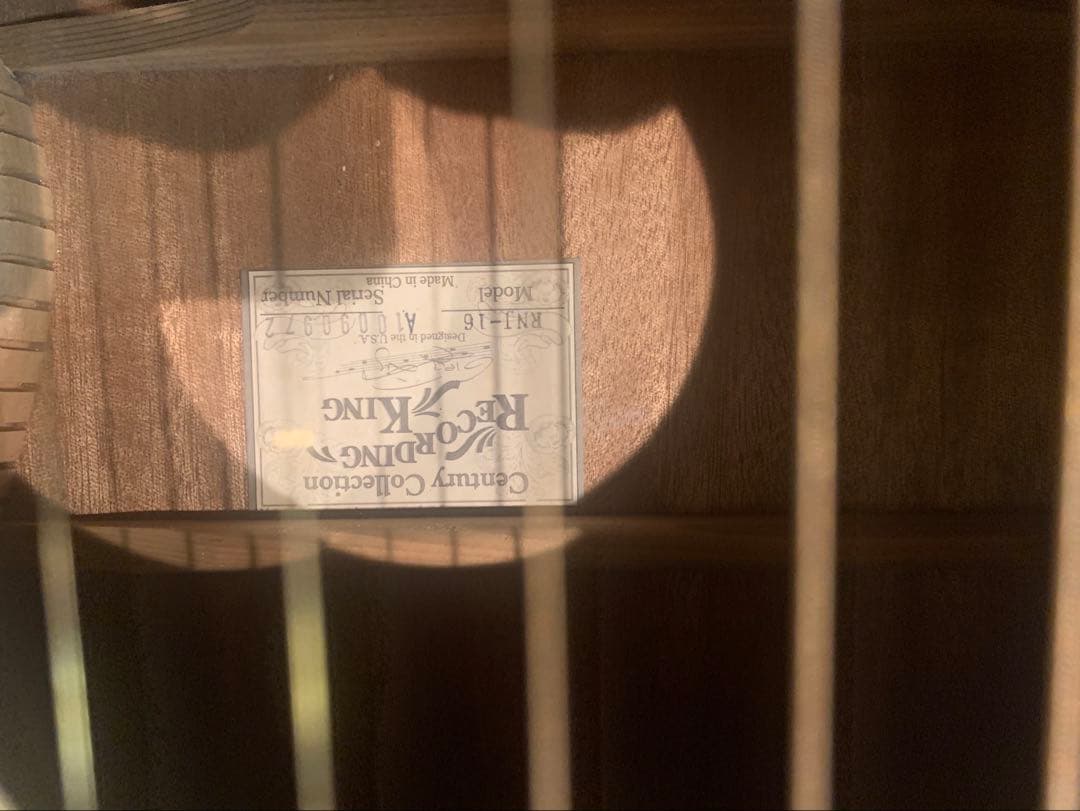 ギター Recording King RNJ-16