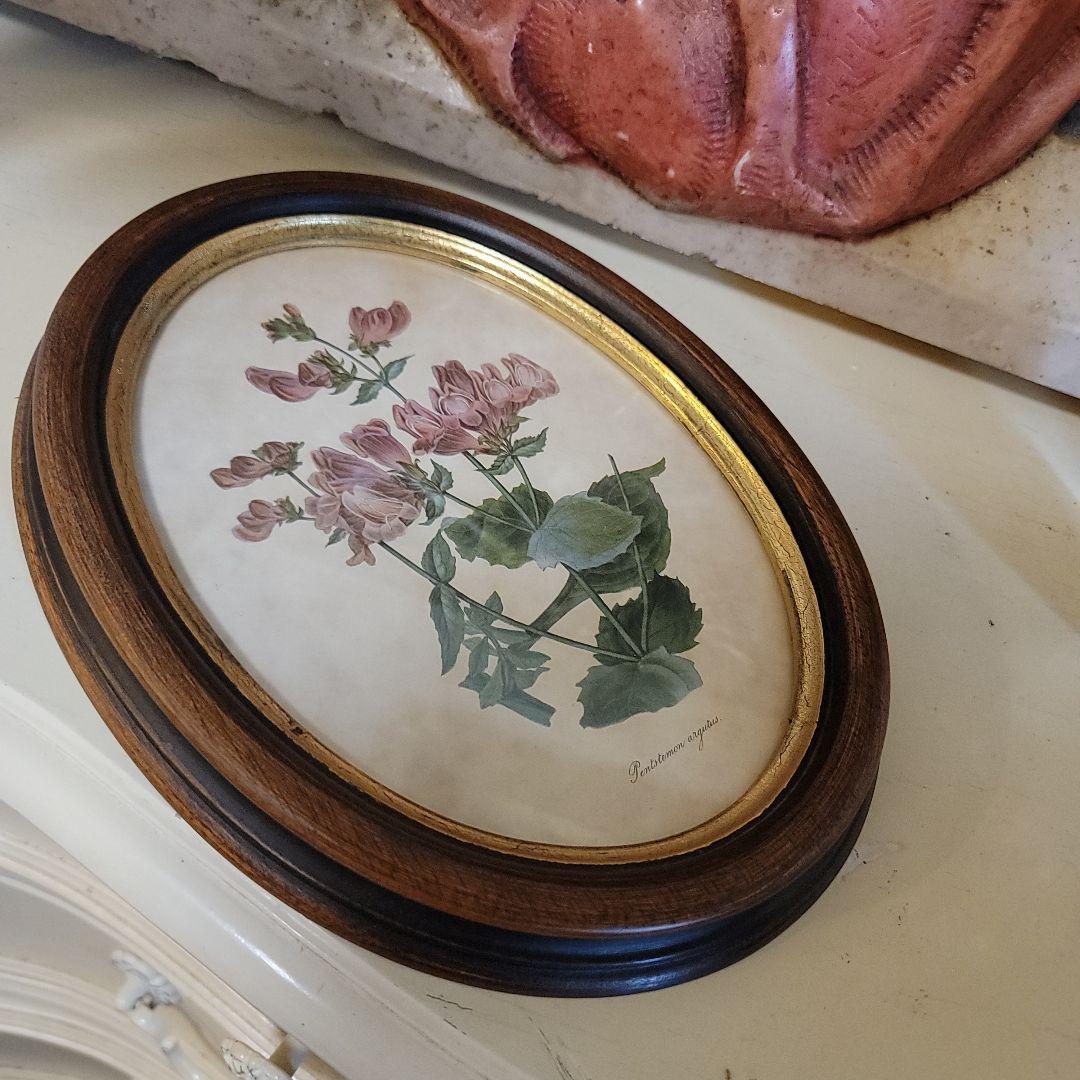 くれは様用です！！　ヴィンテージ　イタリア製　ボタニカルアート　2つ