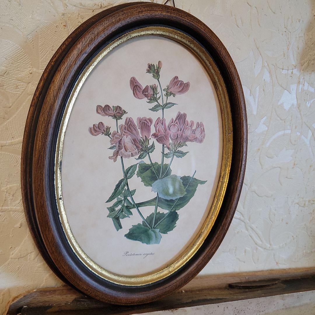 くれは様用です！！　ヴィンテージ　イタリア製　ボタニカルアート　2つ