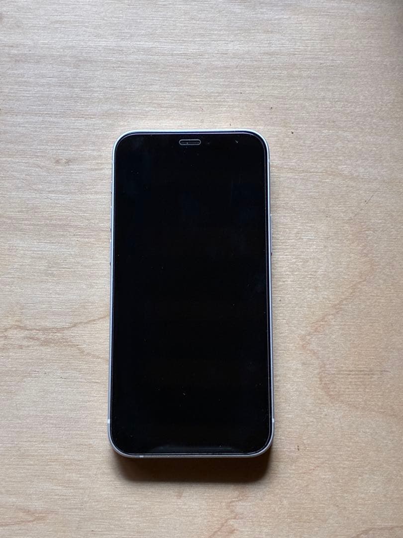 Apple iPhone 12 mini 256G シルバー 本体 充電ケーブル