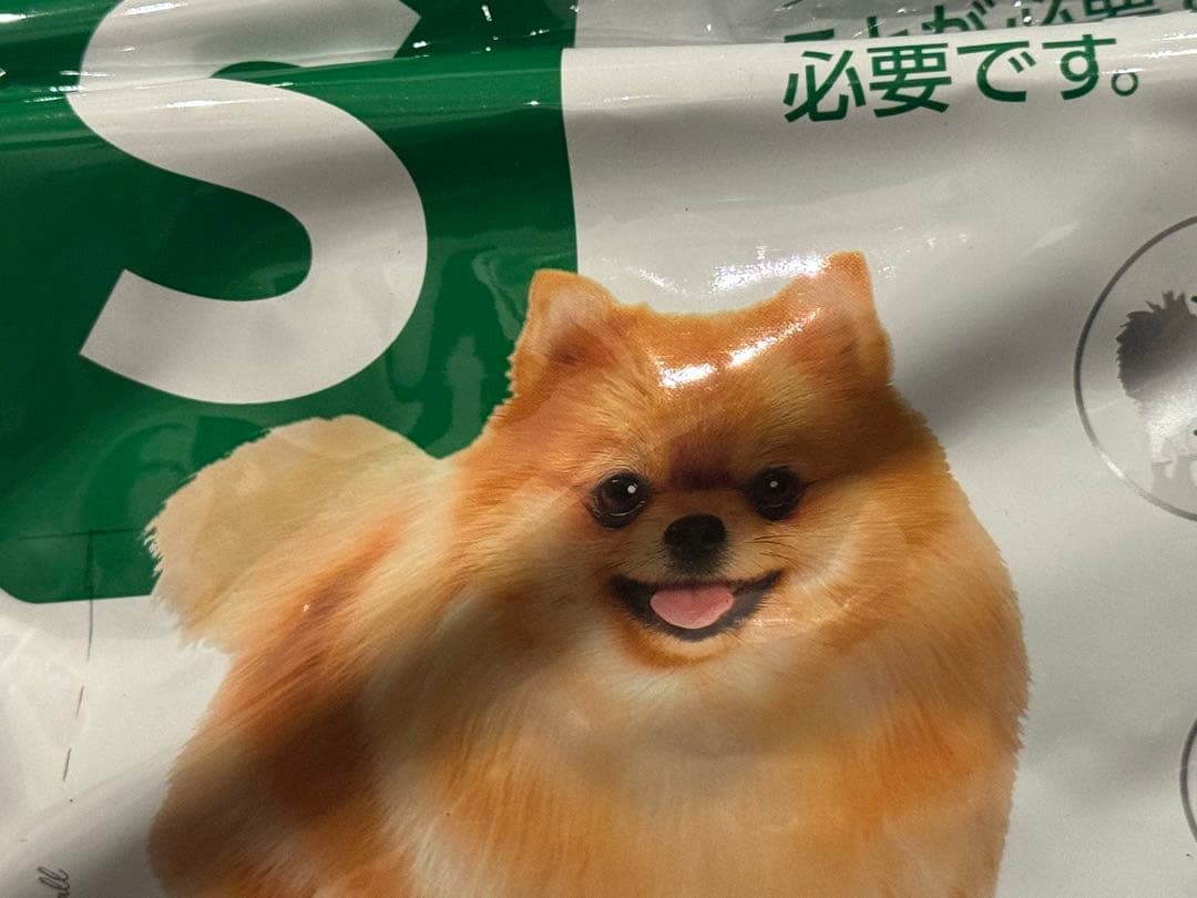 チィ