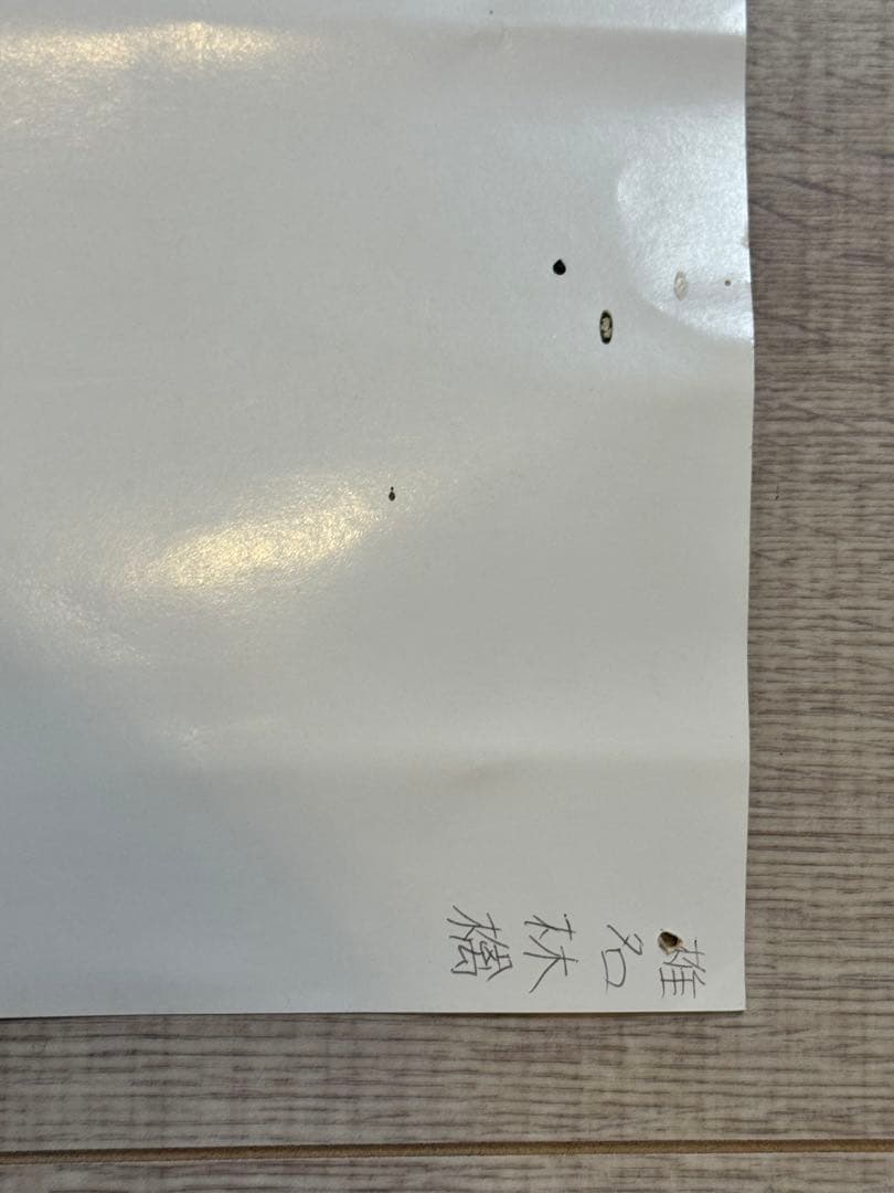 椎名林檎　B2ポスター　本能　目線違いセット品