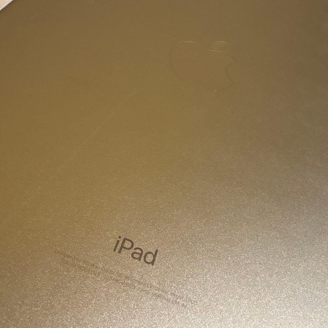 iPad 第5世代 128GB セルラー初期化済 アクティベーションロック解除済