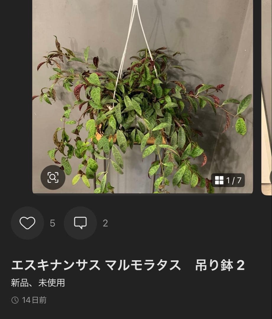 多摩市民