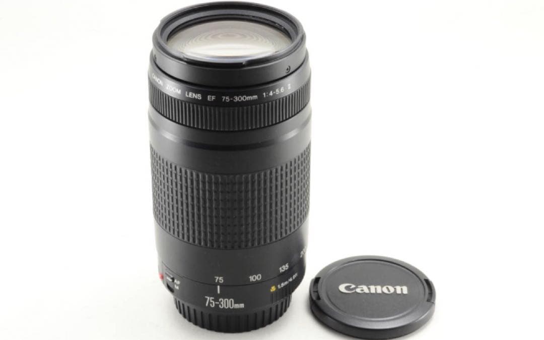 ☆イベント、大迫力の300㎜☆キャノン Canon EF75-300㎜