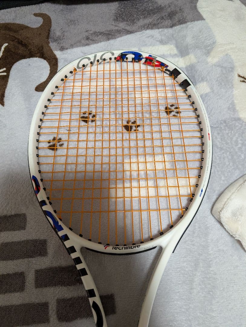 Tecnifibre TF-40 ラケット 2本セット