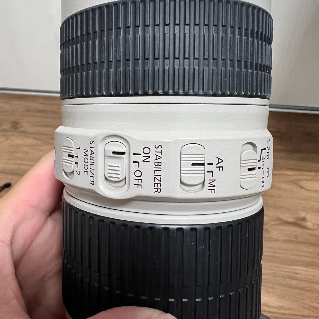 くま　CANON EF70-200mm F4L IS USM　キヤノン