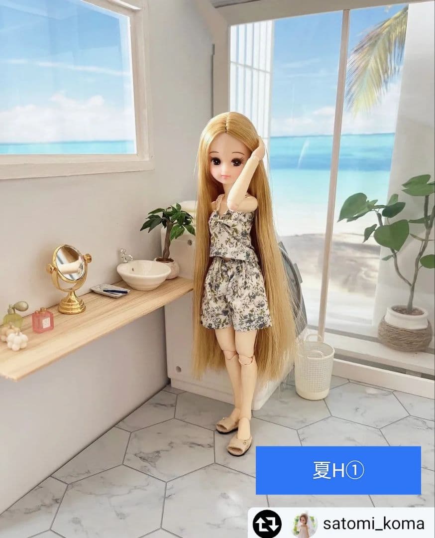 背景布×7+1　ペット撮影用ブース　トリミングチョーカー販売中　　夏　秋　お正月