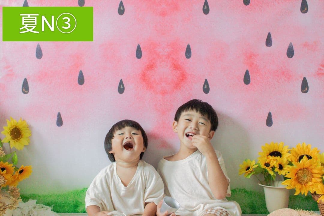 背景布×7+1　ペット撮影用ブース　トリミングチョーカー販売中　　夏　秋　お正月