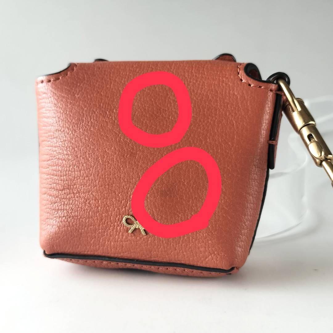 【美品】アニヤハインドマーチ イヤホンケース AirPods タイガー