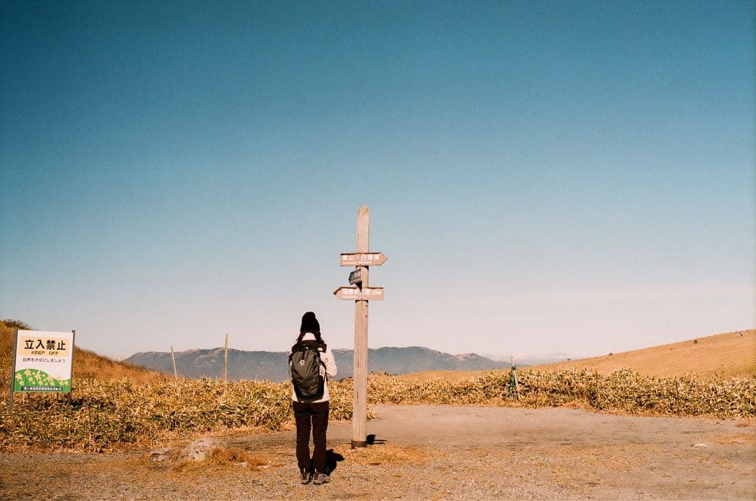 ✴️本日のみフルセット✴️実写・分解整備済✴️オリンパスPEN EE-3 完動品‼️