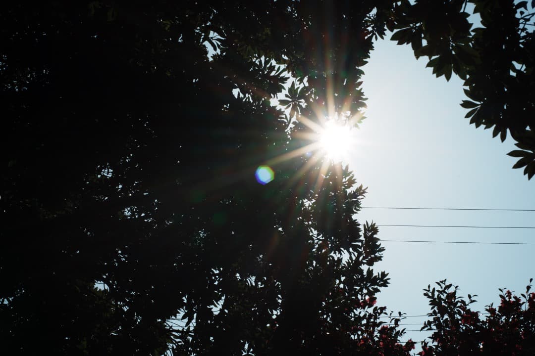 【極美品】動作◎ Nikon Ai-s Nikkor 50mm f1.8 871