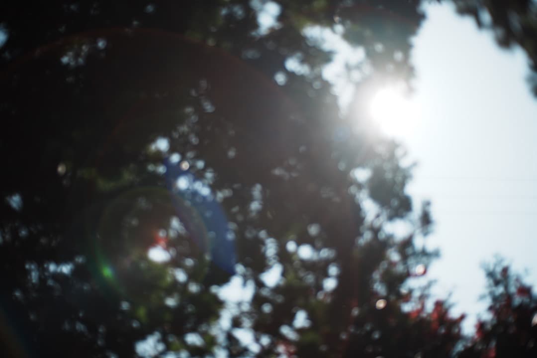 【極美品】動作◎ Nikon Ai-s Nikkor 50mm f1.8 871