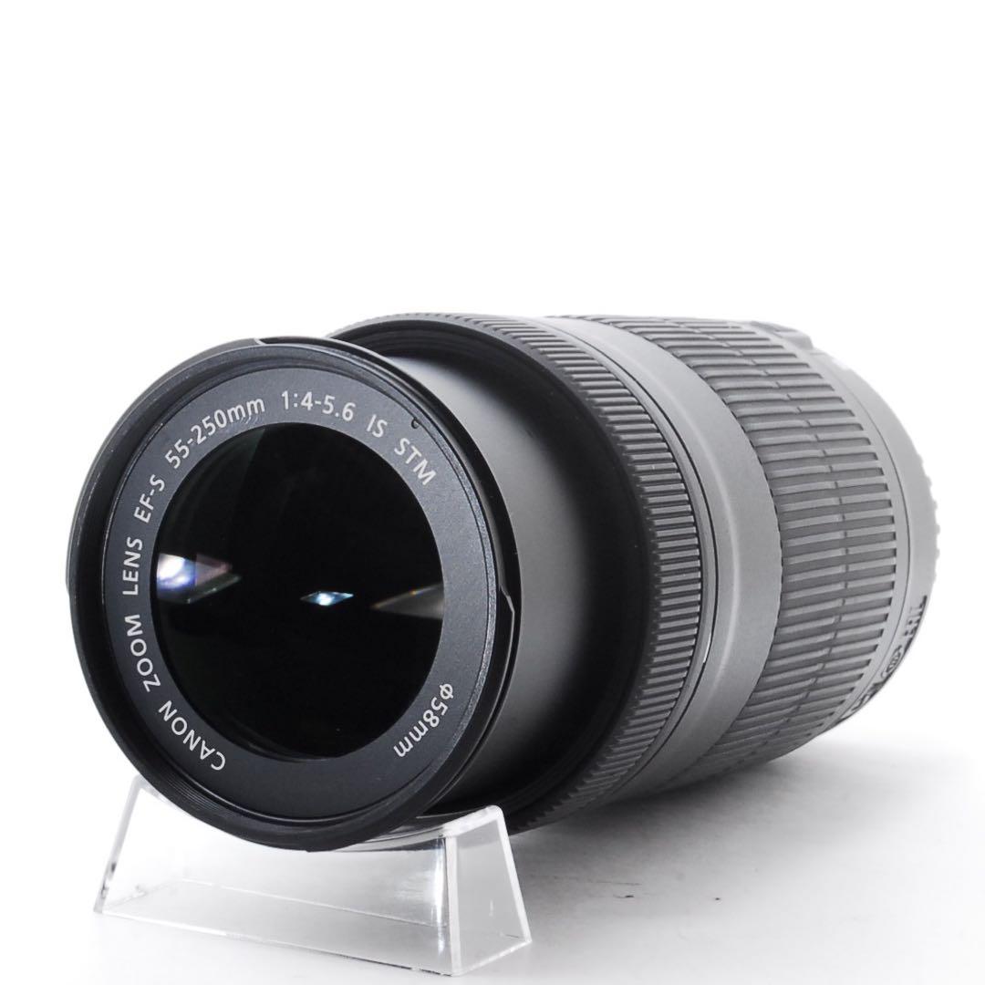 Canon EF-S 55-250mm IS STM 望遠レンズ 手振れ補正