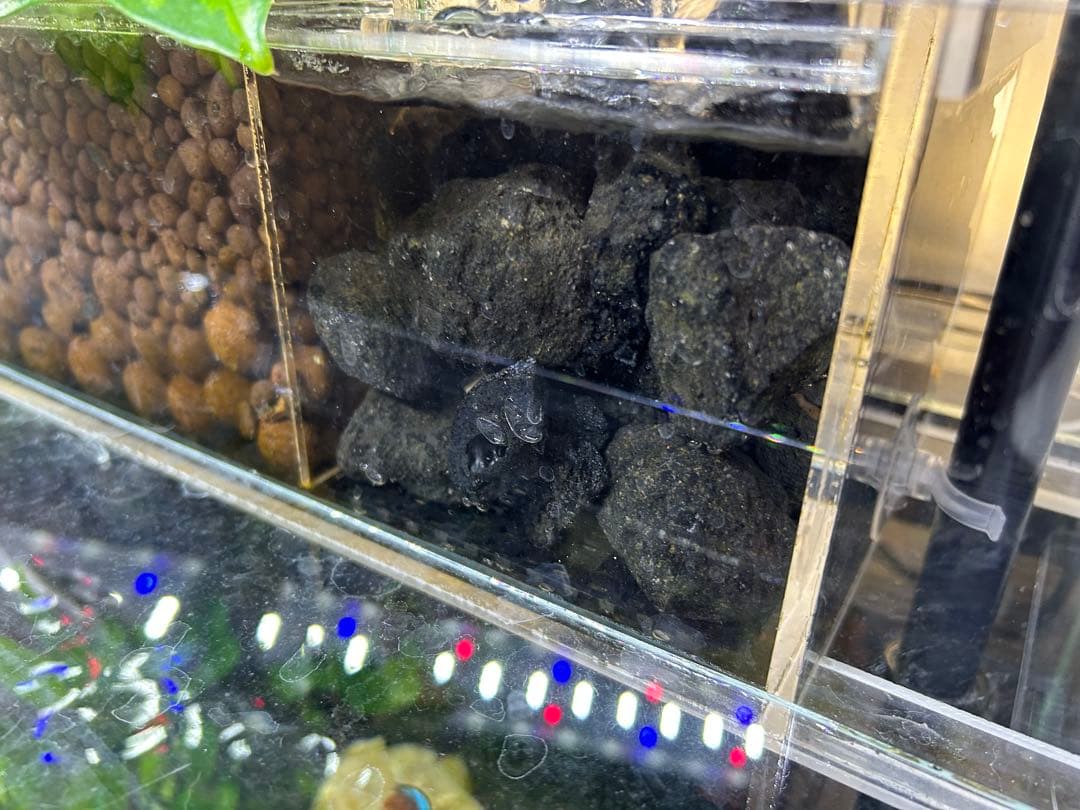 【訳あり】60㎝水槽用　上部濾過式アクアリウム水槽アクアポニックス仕様A