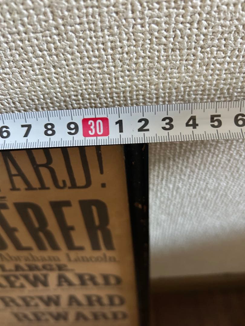 $100,000 REWARD! THE MURDERER リバティベルサルーン