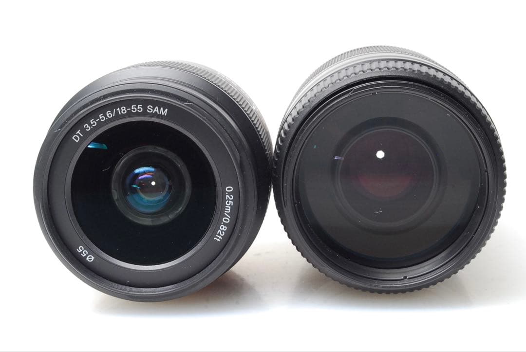 ✨1秒10コマの高速連射✨SONY α65✨ダブルレンズ✨超望遠✨超高画質✨