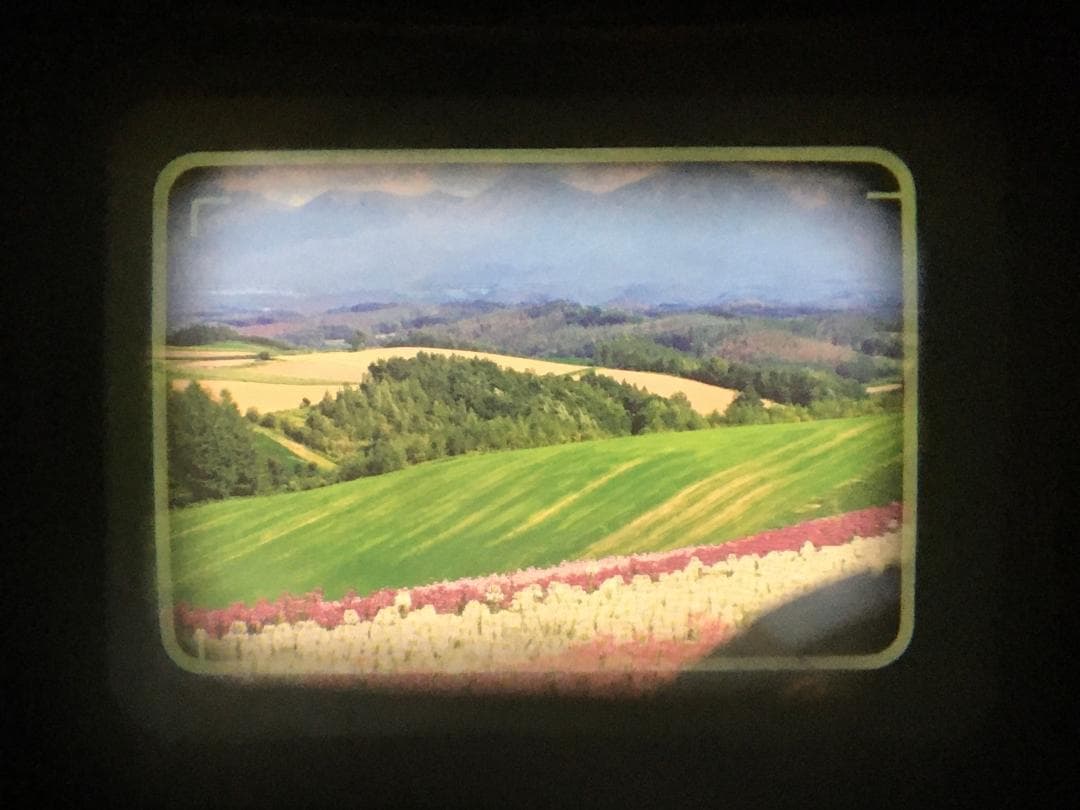 【整備済　美品】ベージュ オリンパスTrip35 40mm f2.8 #1241