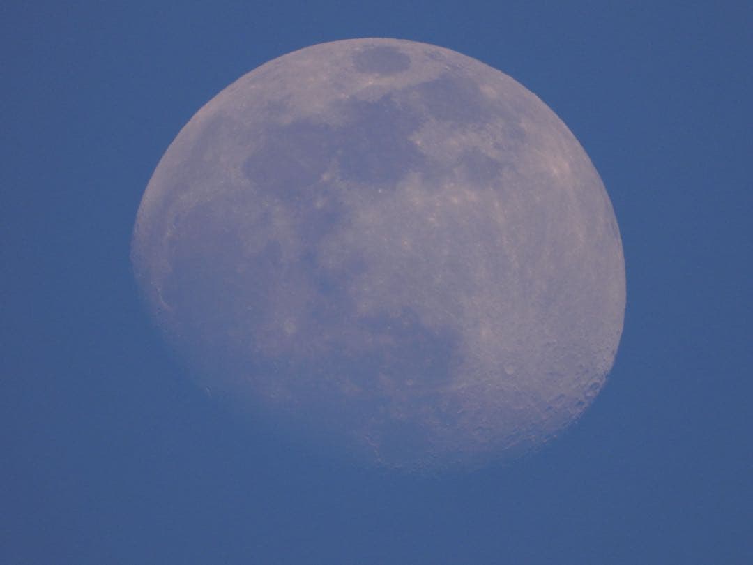 Nikon COOLPIX P1000 本体と付属品