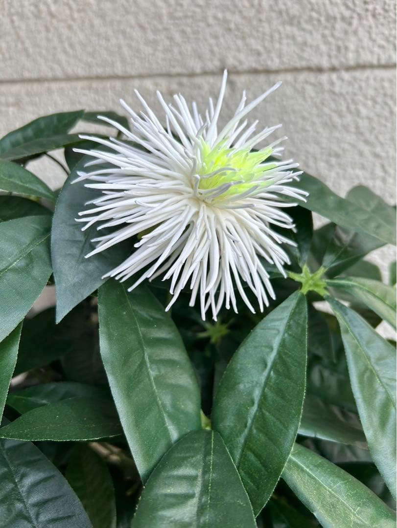 光触媒　人工観葉植物　ウォールグリーン　フェイクグリーン　パキラ花付き105