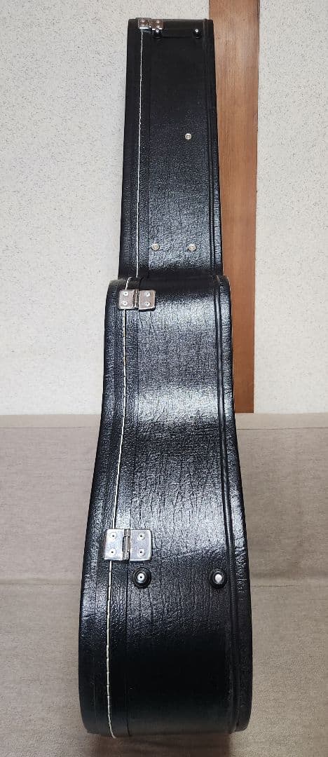 Aria アコースティックギター エレアコ AMB-35 BLS ハードケース