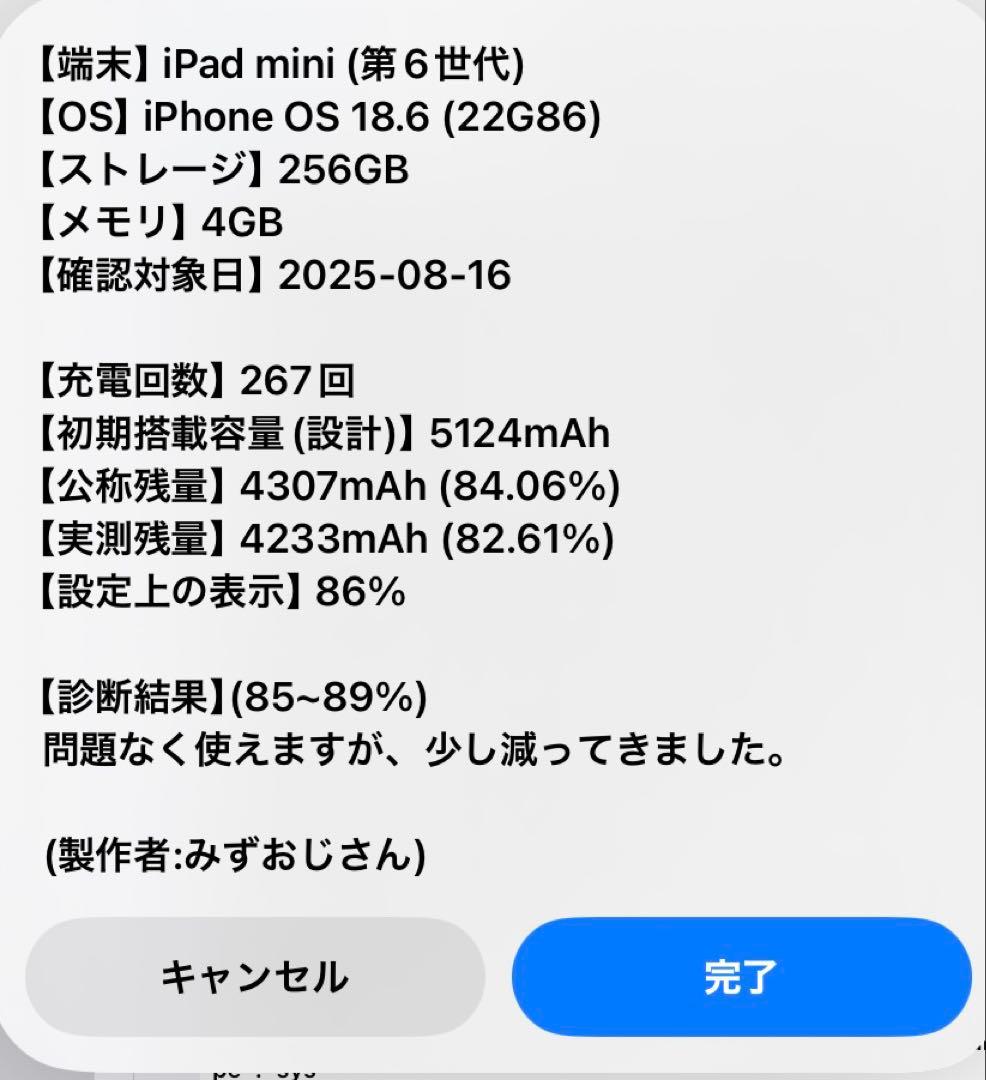 【本日限定最終値下げ】iPad mini6 256GB Wi-Fi 純正ケース付
