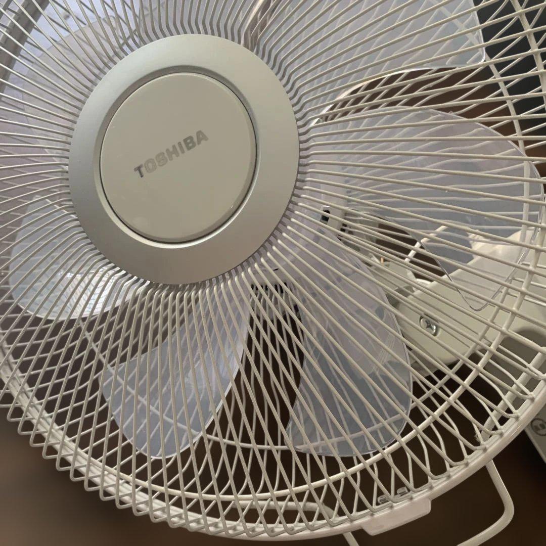 TOSHIBA 東芝 壁掛け扇風機 TF-30RK26 30cm 箱あり 極美品