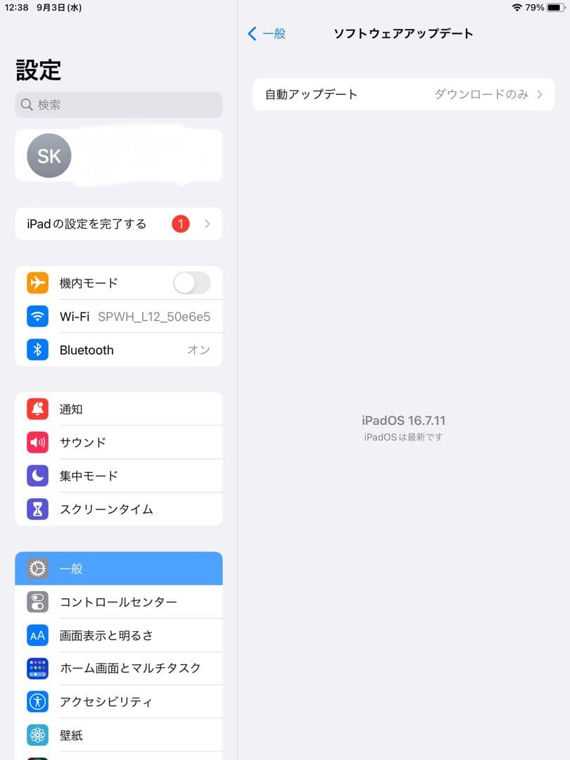 256GB iPad Pro 9.7インチA1673wi-fi バッテリー98%