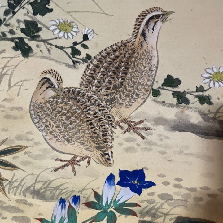 分部五鈴先生　秋草と鶉図　写真が全てです