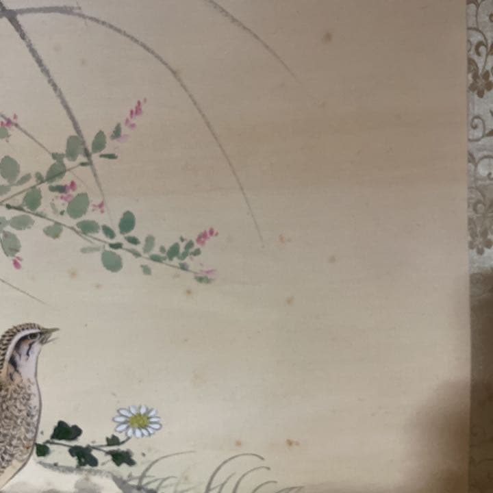 分部五鈴先生　秋草と鶉図　写真が全てです
