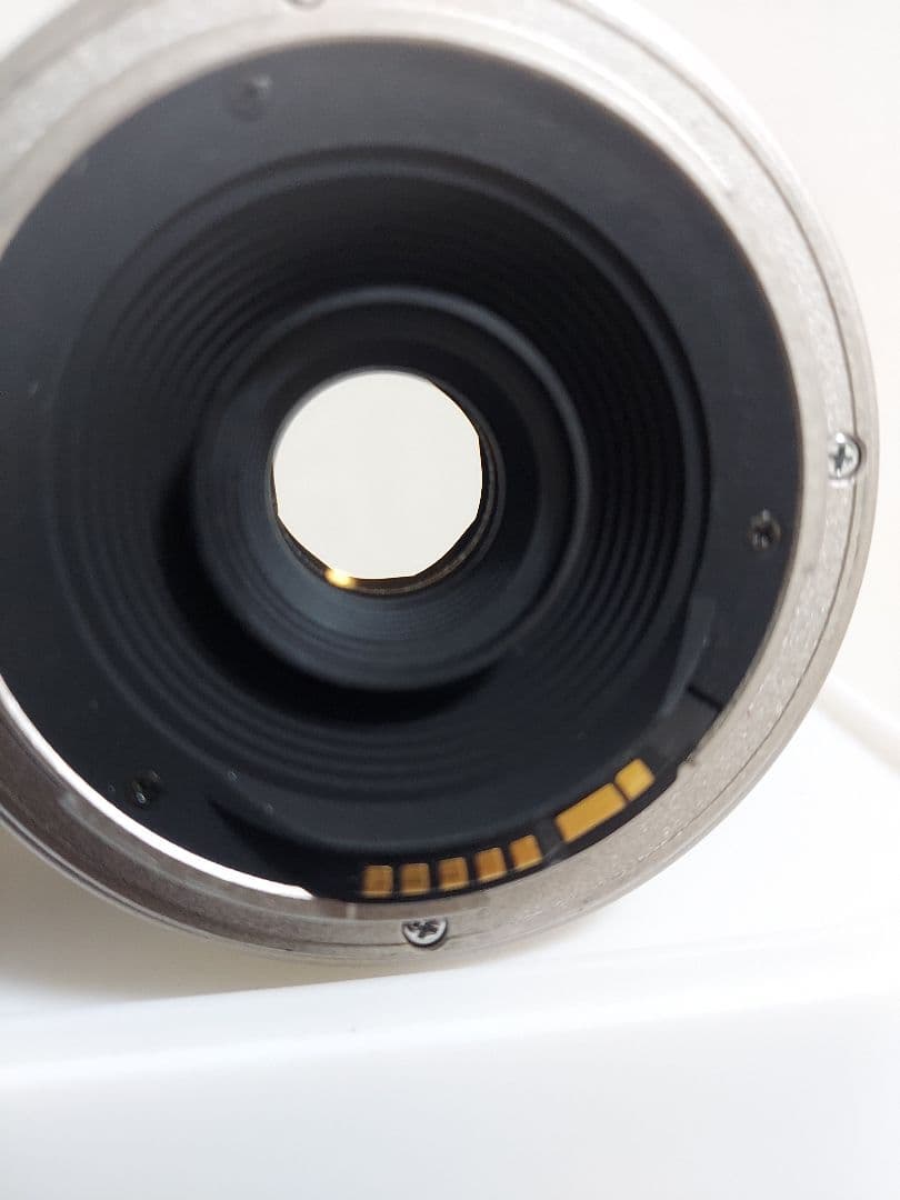 CANON　EOS 20D 一眼レフ　キャノン　スマホ転送OK