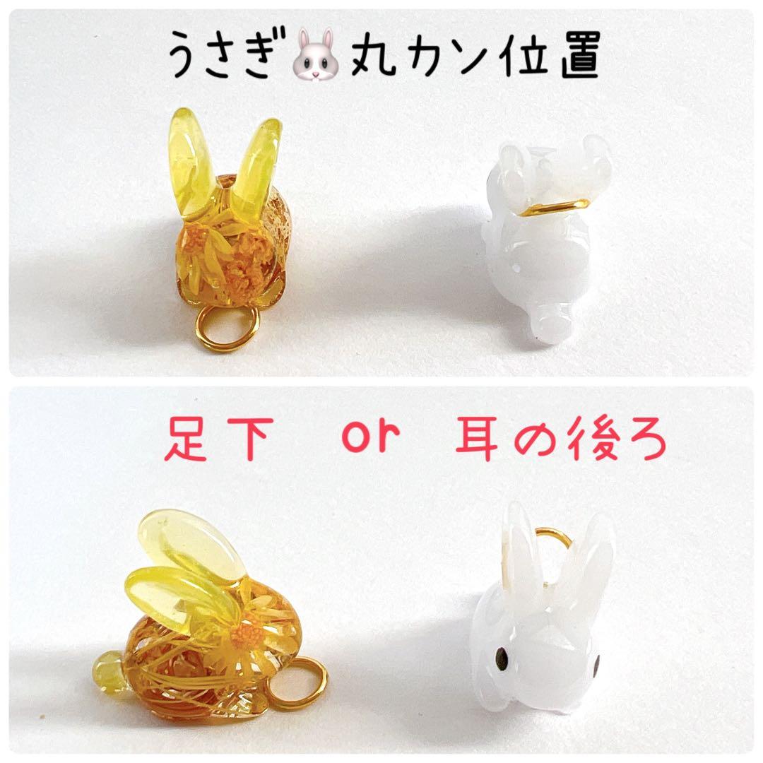 プロフ必読