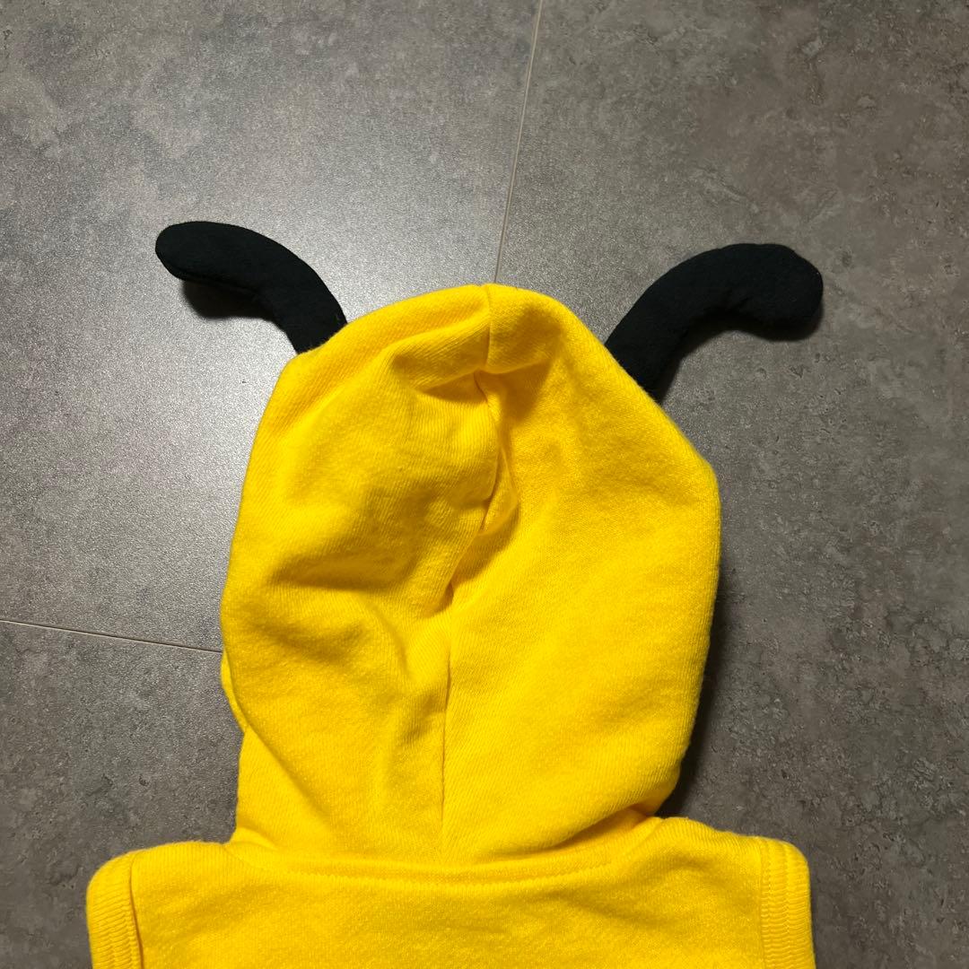 専用 ヒスミニ ハチロンパ