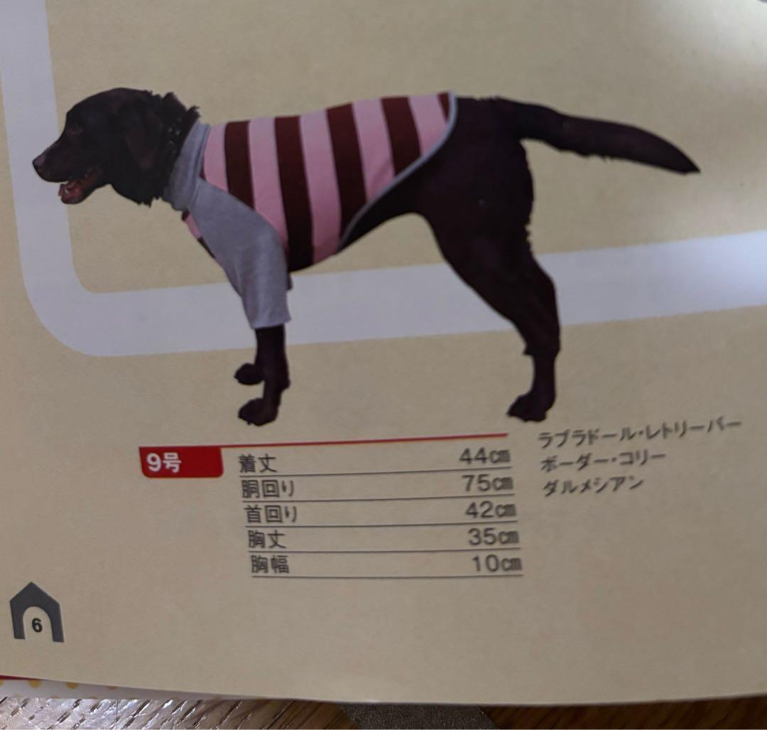 (˙ᴥ˙)様⭐︎専用ページ