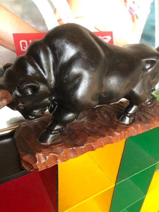 うるま市　沖縄　徳之島　闘牛　黒糖焼酎　奄美　木彫り　泡盛