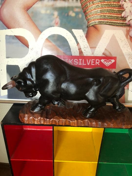 うるま市　沖縄　徳之島　闘牛　黒糖焼酎　奄美　木彫り　泡盛