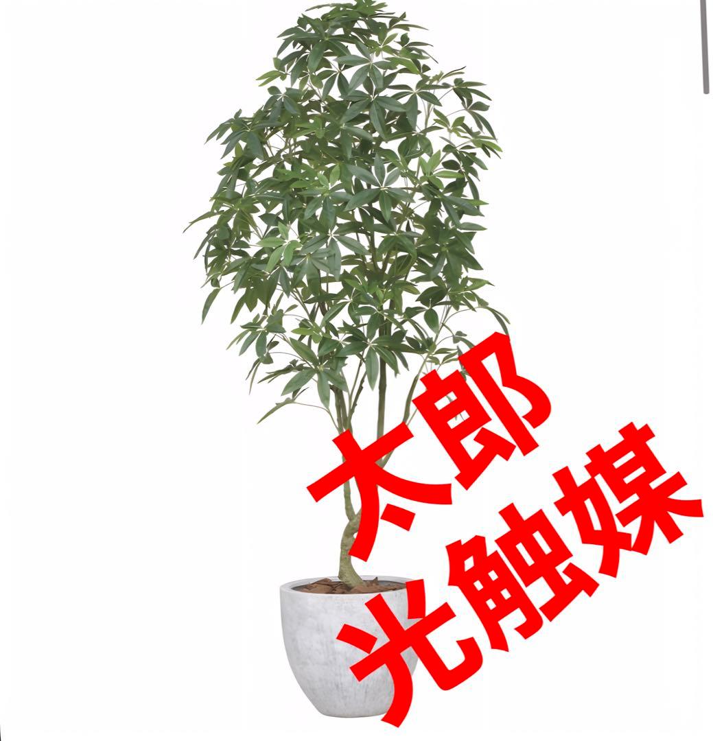 光触媒　人工観葉植物　フェイクグリーン　ナチュラルパキラ2.5