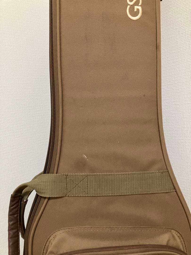 Taylor GSmini アコースティックギター　付属品多数！