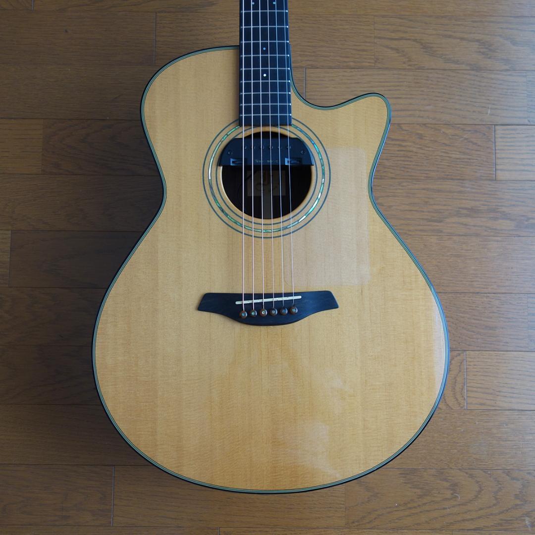Ｆｕｒｃｈ　Ｇ２３－ＳＲＣＴ　２０１６年製　スカイソニックＰＵ