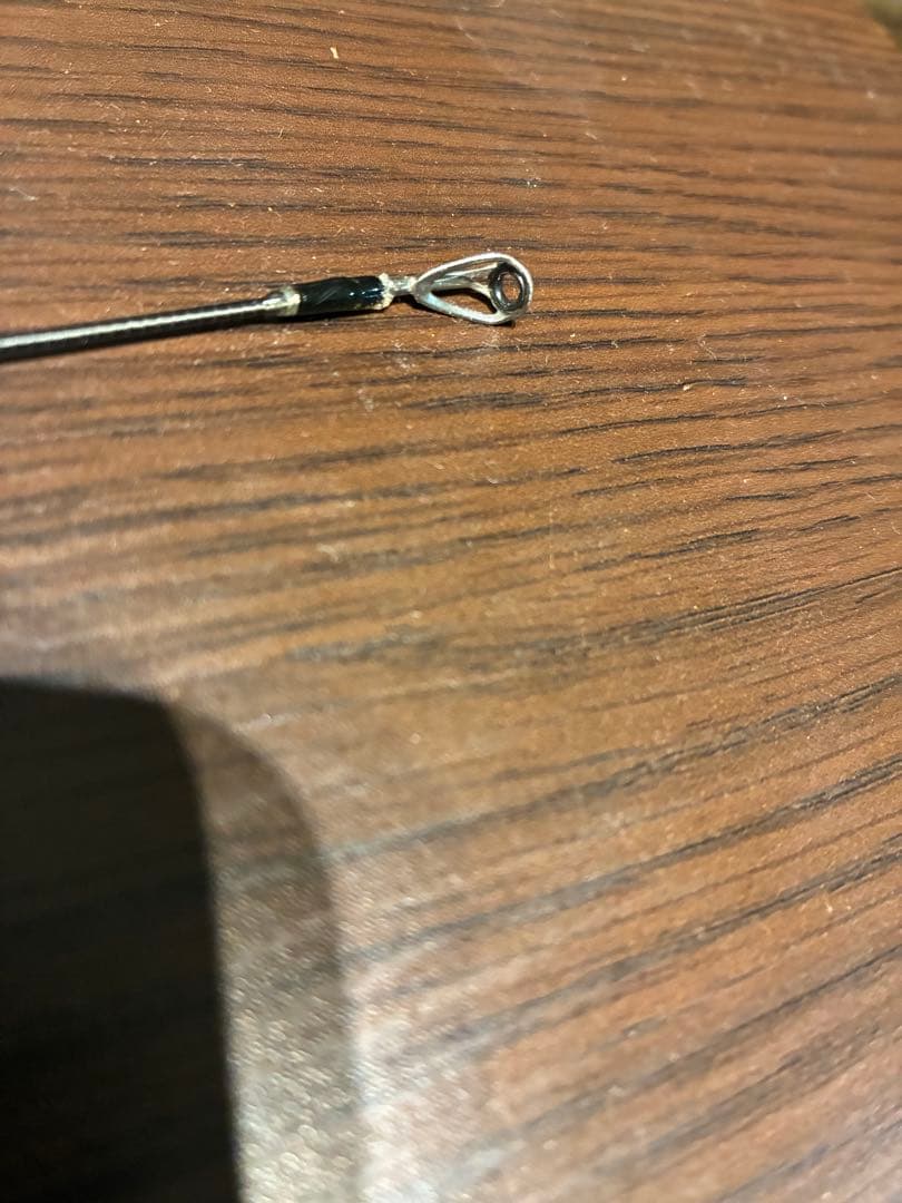 フィッシュマン ビームスインテ6.4UL