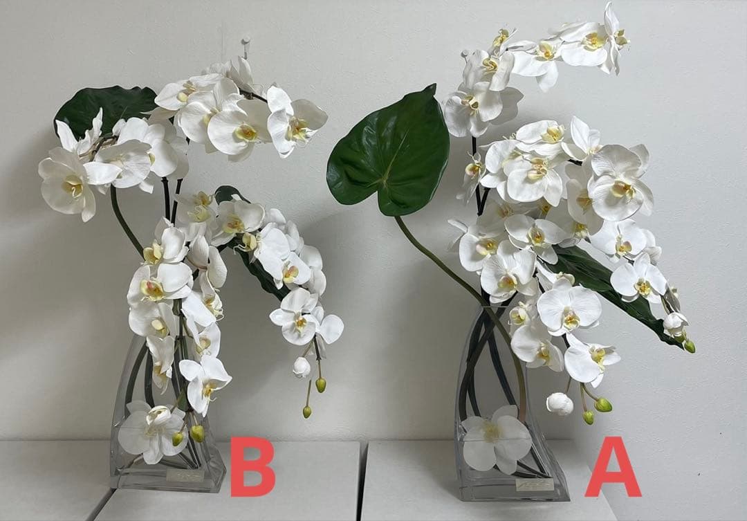 Aエミリオロバ ファレノプシス2L 胡蝶蘭 花 白フラワーアレンジメント