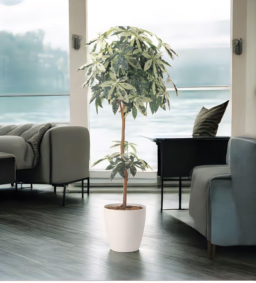 光触媒　人工観葉植物　ウォールグリーン　フェイクグリーン　ミルキーパキラ1.6