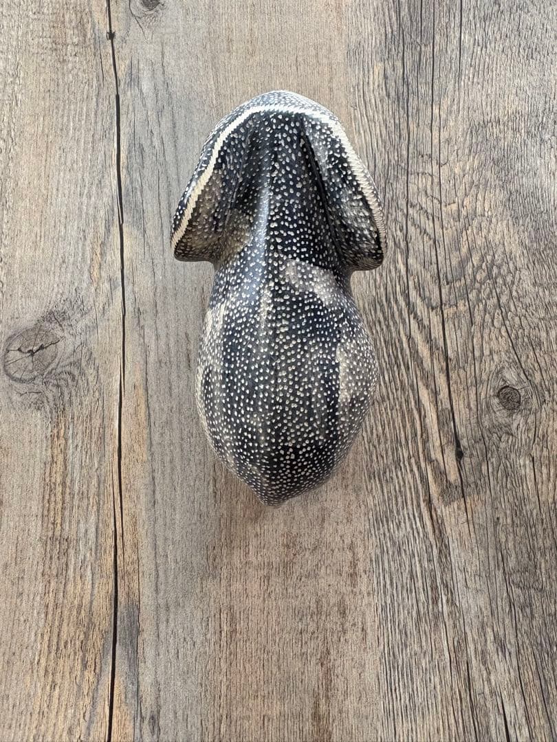 斑点模様 象の置き物 hand maide inケニア スミソニアン博物館