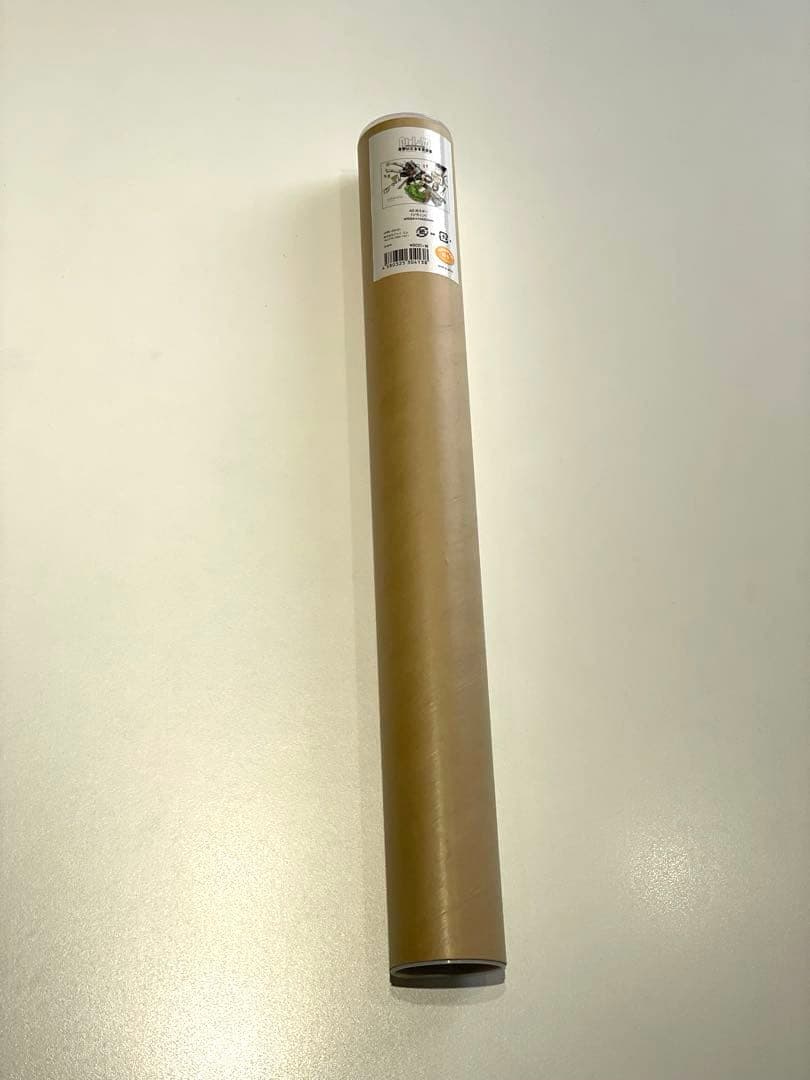 【希少】浅野いにおの世界展 ソラニン A2ポスター【新品】