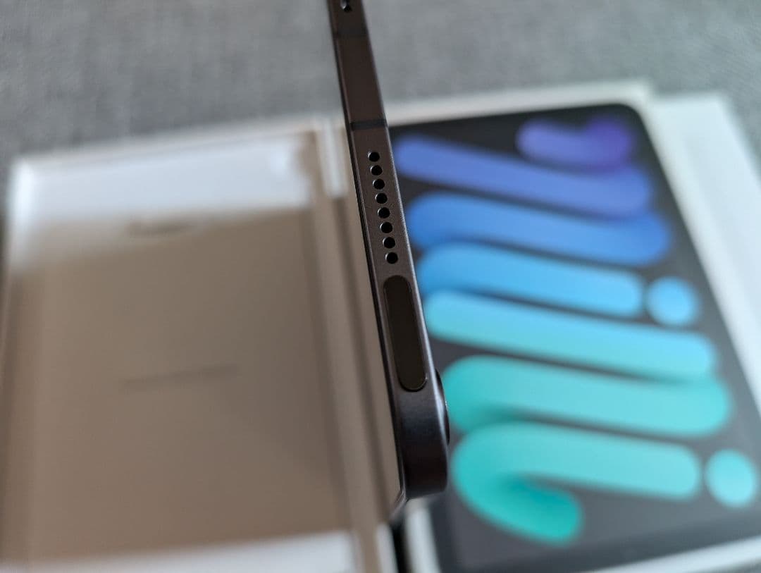 100% 超美品 iPad mini 6 WiFi + セルラー 256GB